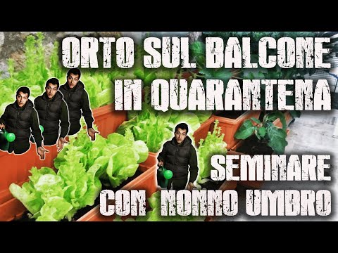 COME COSTRUIRE L'ORTO SUL BALCONE IN QUARANTENA - SEMINARE CON NONNO UMBRO in DIALETTO
