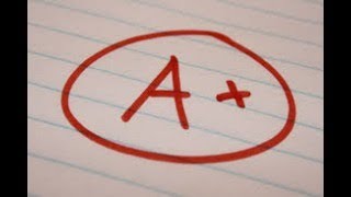 2024-2025 Draft Grades