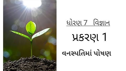 ધોરણ 7, વિજ્ઞાન, પ્રકરણ 1 , વનસ્પતિમાં પોષણ, std 7, science , chapter 1, Sameer Sir