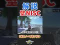 DKスノーマウンテン壁NISCを徹底解説【マリオカートワールド】#マリオカートワールド #マリカワールド #マリオカート #マリカワ
