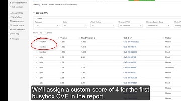 Vigiles User Guide: Using the Import Custom Scores Feature