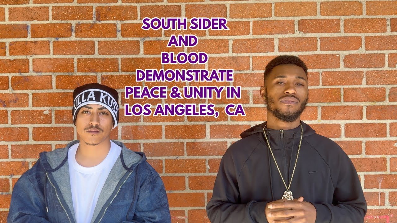 RodneyinLA объединяет жителей южной части Лос-Анджелеса и членов организации Bloods, чтобы продем...