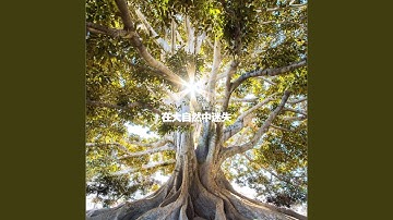 Remarkable Moods for Always Keynotes