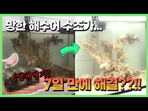 와 이럴 수가 있나요?