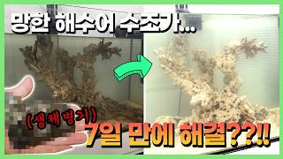 와 이럴 수가 있나요?