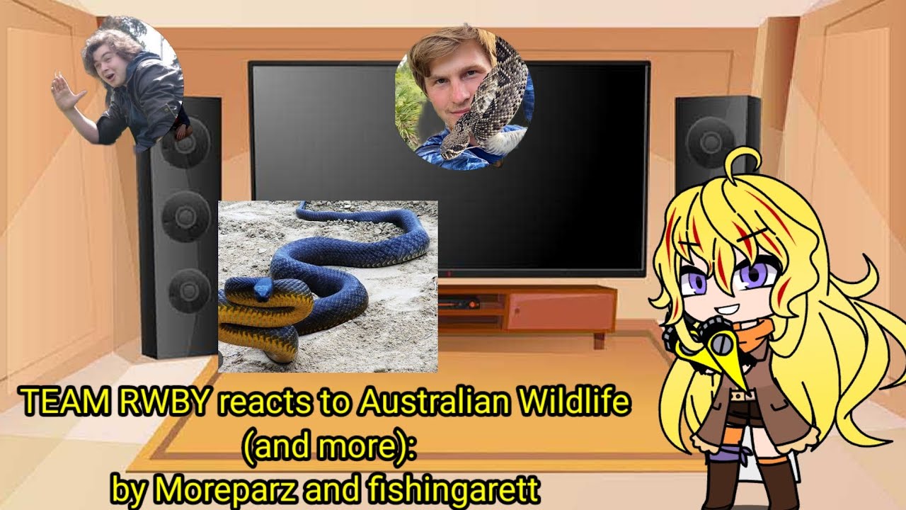 Team RWBY reacts to Australian Wildlife (and more!) By 