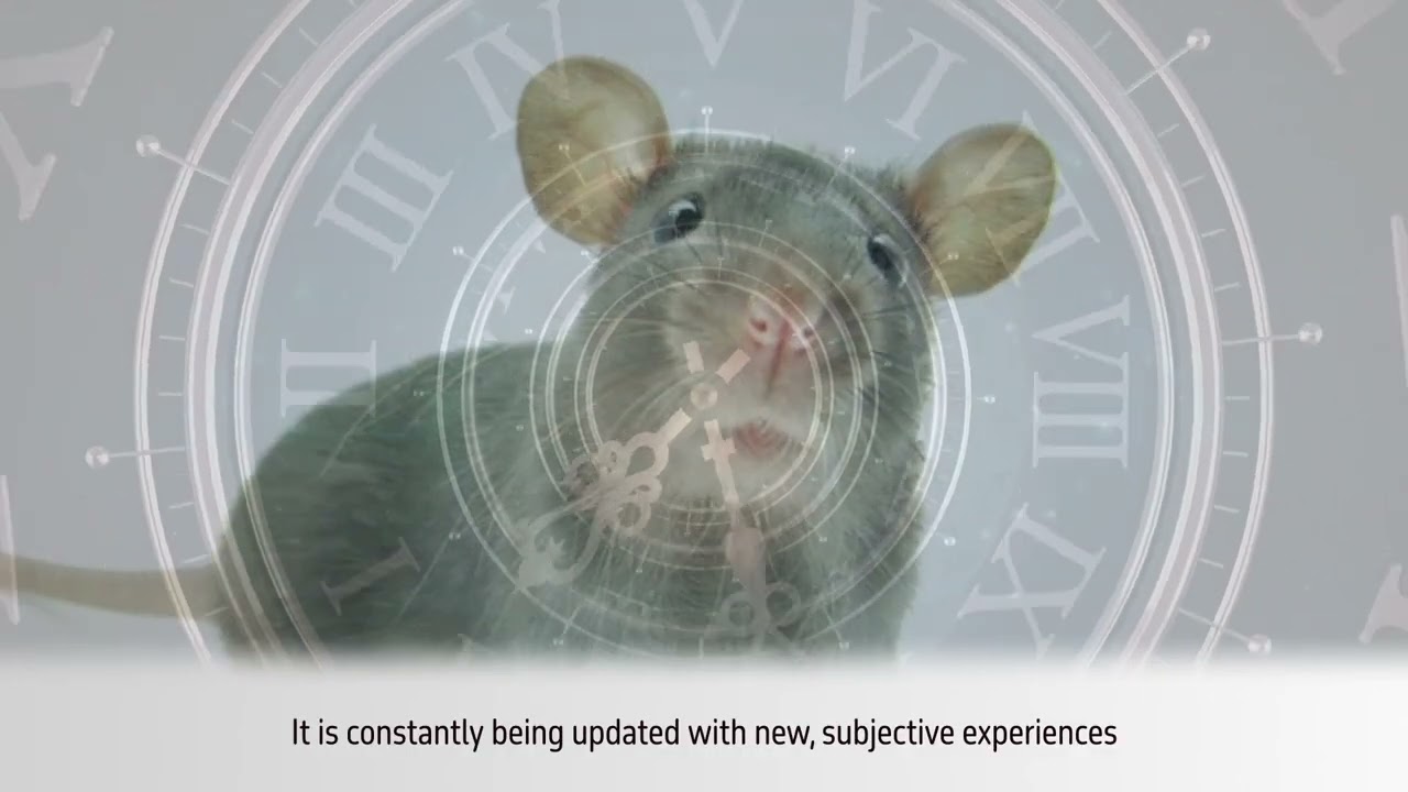 SELF-AWARENESS "The Autobiographical Self: The Neuroscience Behind Time Perception"