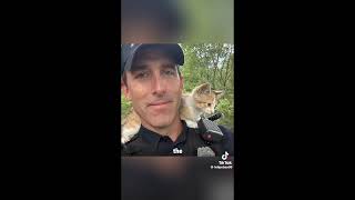MEN LOVE CATS!   SD 480p