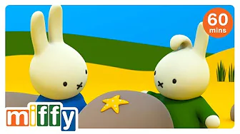 Miffy and the Star | Miffy | Cartoons for kids
