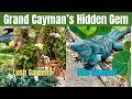 Grand Cayman DIY Cruise Excursion Review | Queen Elizabeth II Botanic Park & Blue Iguanas