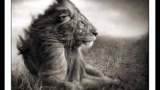 Download Lagu Beyonce-Baby Boy( DnB mix) MP3