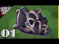 Sneaky raccoon on a mission  wanted raccoon  ep 1
