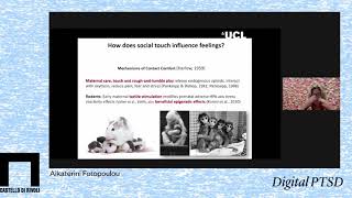 VI. Katerina Fotopoulou - Digital PTSD Part II. The Practice of Art and Its Impact on Digital Trauma