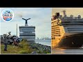 Cruise Ship Horn Battle, 7 Disney Fantasy Horns and SO much More! Port Canaveral Live (Highlights)