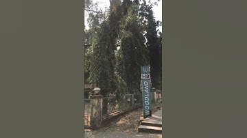 Hostel 8, IIT Bombay / IIT Bombay Motivational Video #iit #iitjee #iitjeemotivation