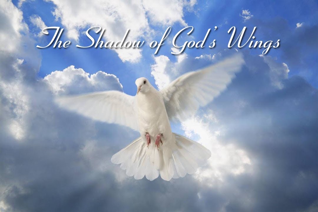 Psalms Lesson 07 The Shadow of God's Wings YouTube