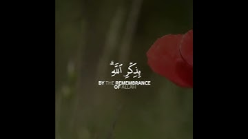 سورة الرعد | القارئ فارس عباد