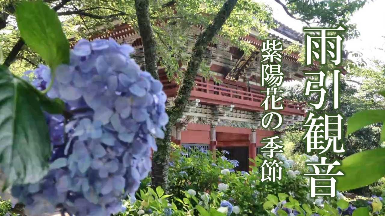 雨引観音 ～紫陽花の季節～ 