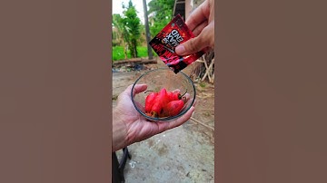 Cabe habanero boncabe level max 50 pedas 🌶 #comedy