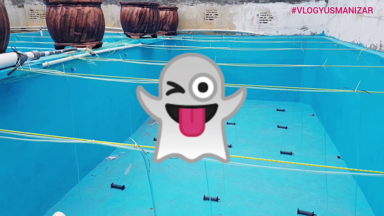 PEMASANGAN INSTALASI AIR BAK KOLAM UNTUK BUDIDAYA IKAN NILA 