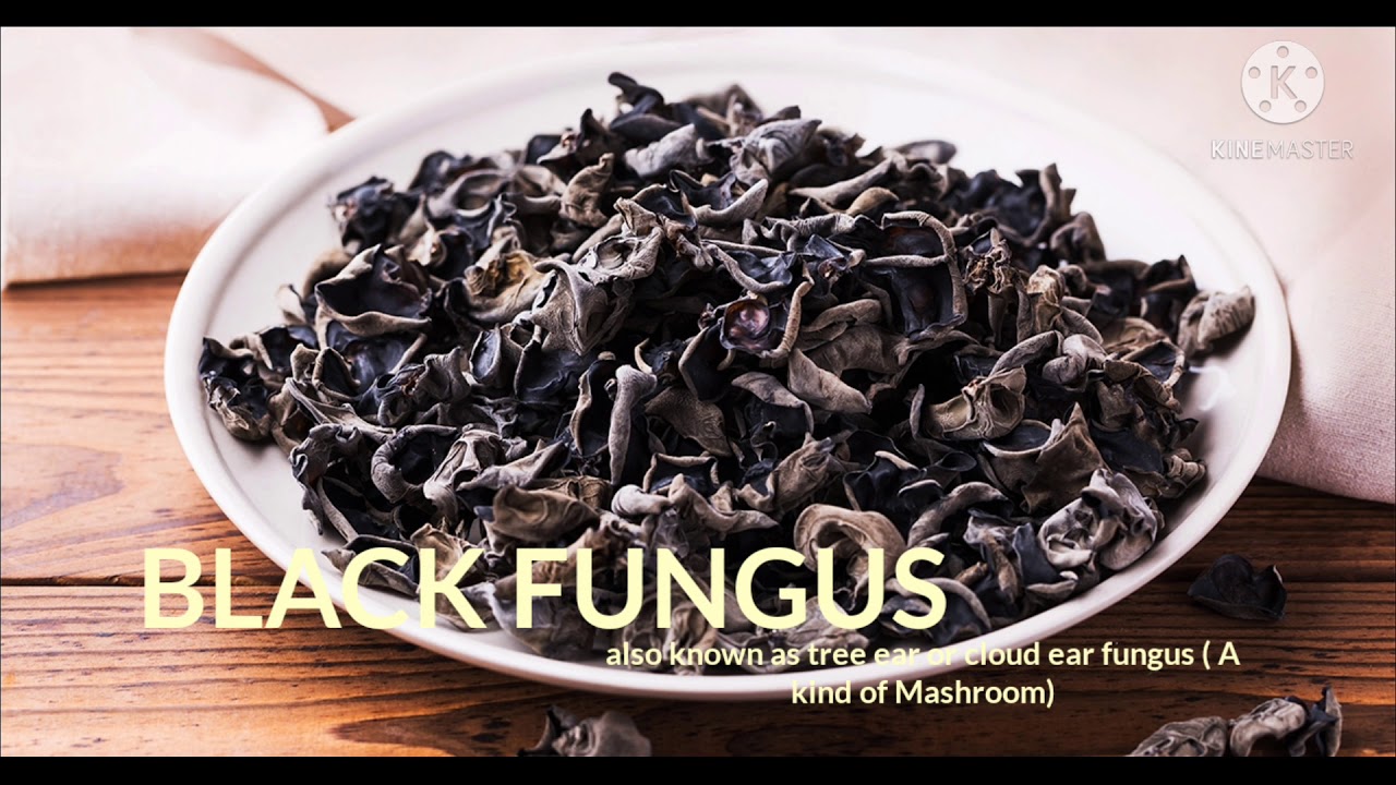 Simply Recipe with Carrots, Onion, Black Fungus (or Tree ear/ Cloud ear