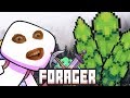 Forager is the Best Deforestation Simulator