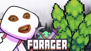 Forager is the Best Deforestation Simulator