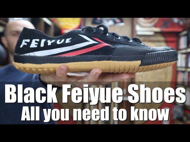 Feiyue Black High Top Shoes - Black 45 = 11