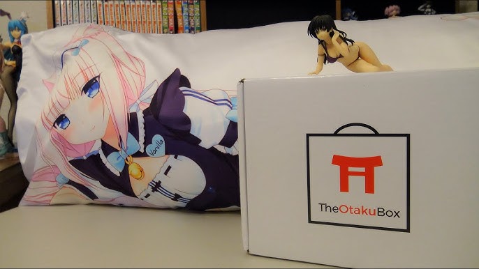 Educational Anime! – The Otaku Box