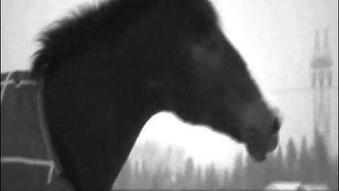 oɳẹ oғ ʈɧẹʂẹ ɗαyʂ