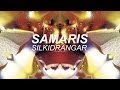YouTube YouTube