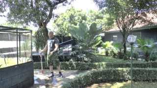 DM Exotics-Reptile Farm in Indonesia