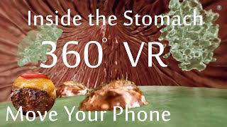 A Virtual Reality tour inside the stomach (VR) 360 | MOVE YOUR PHONE TO EXPLORE THE STOMACH