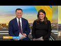 One of Australia's endangered snakes released back into the wild | Today Show Australia