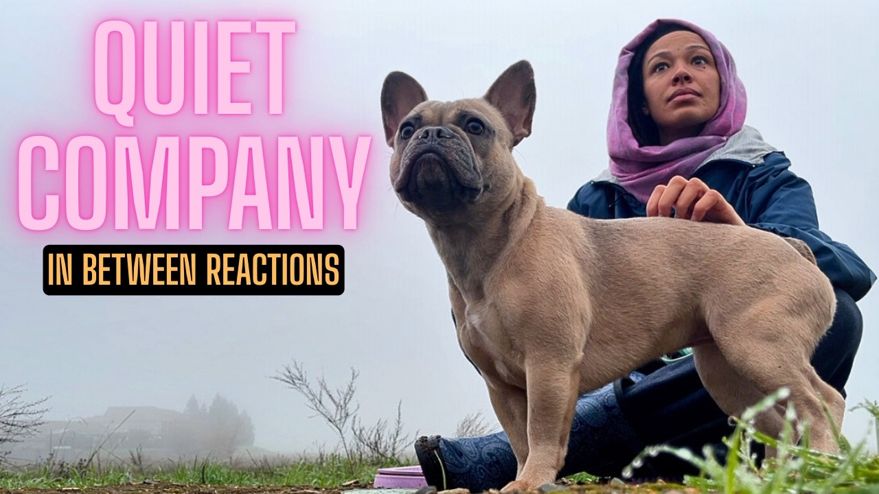 Reaction got BLOCKED. but the birds were still singing! 🐤🎶 sit with me til the next song? 