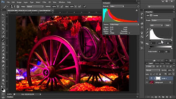 Levels VS Curves What The Heck Is The Difference