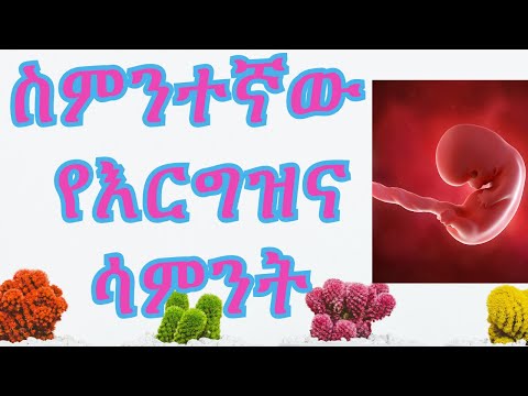 ቪዲዮ: የ 8 ኛው ሳምንት እርግዝና እንዴት ነው