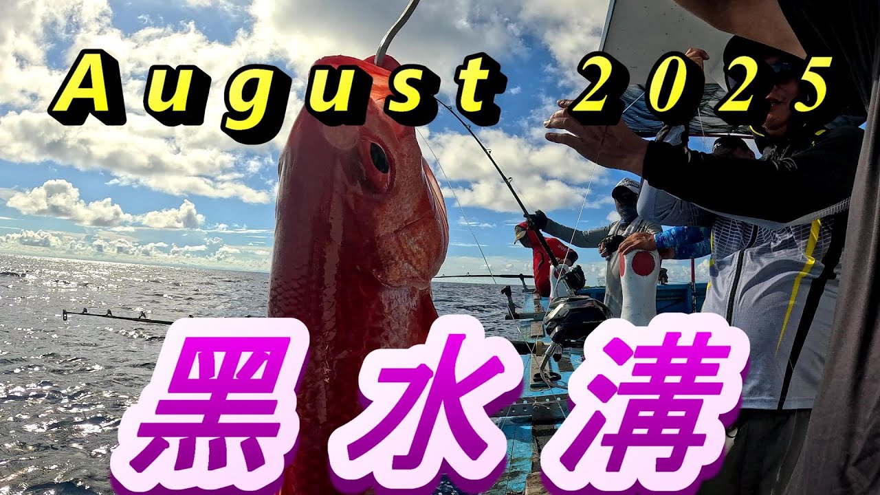 #宜蘭外海黑水溝長尾鳥黑甘横行