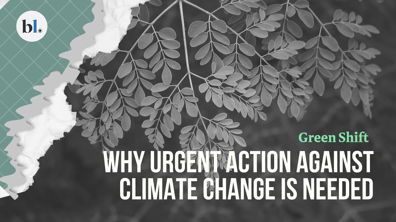 Urgent action against Climate change needed | World Earth day special ...