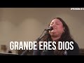 Grande eres Dios   Espontáneo | Upperroom Español