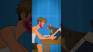 ❤️ That's why your cat is head butting you