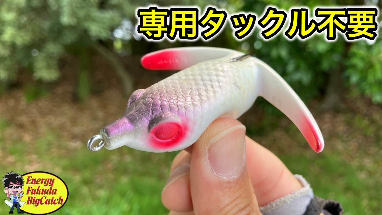 スリザーク　バスターク　ガヴァチョ Bass Fishing] 6 Frogs I Will Seriously Use in 2026 - YouTube