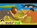 [25min] Mammoth & Smilodon's wonder time travel 1~3ㅣcenozoic animals cartoon for kidsㅣCoCosToy