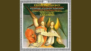 J.S. Bach: Herz und Mund und Tat und Leben, Cantata BWV 147: 3. Aria: 'Schäme dich, o Seele nicht' J.S. Bach: Herz und Mund und Tat und Leben, Cantata BWV 147: 3. Aria: 'Schäme dich, o Seele nicht'