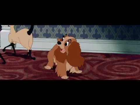 Песня сиамских кошек из мультфильма "Леди и бродяга"