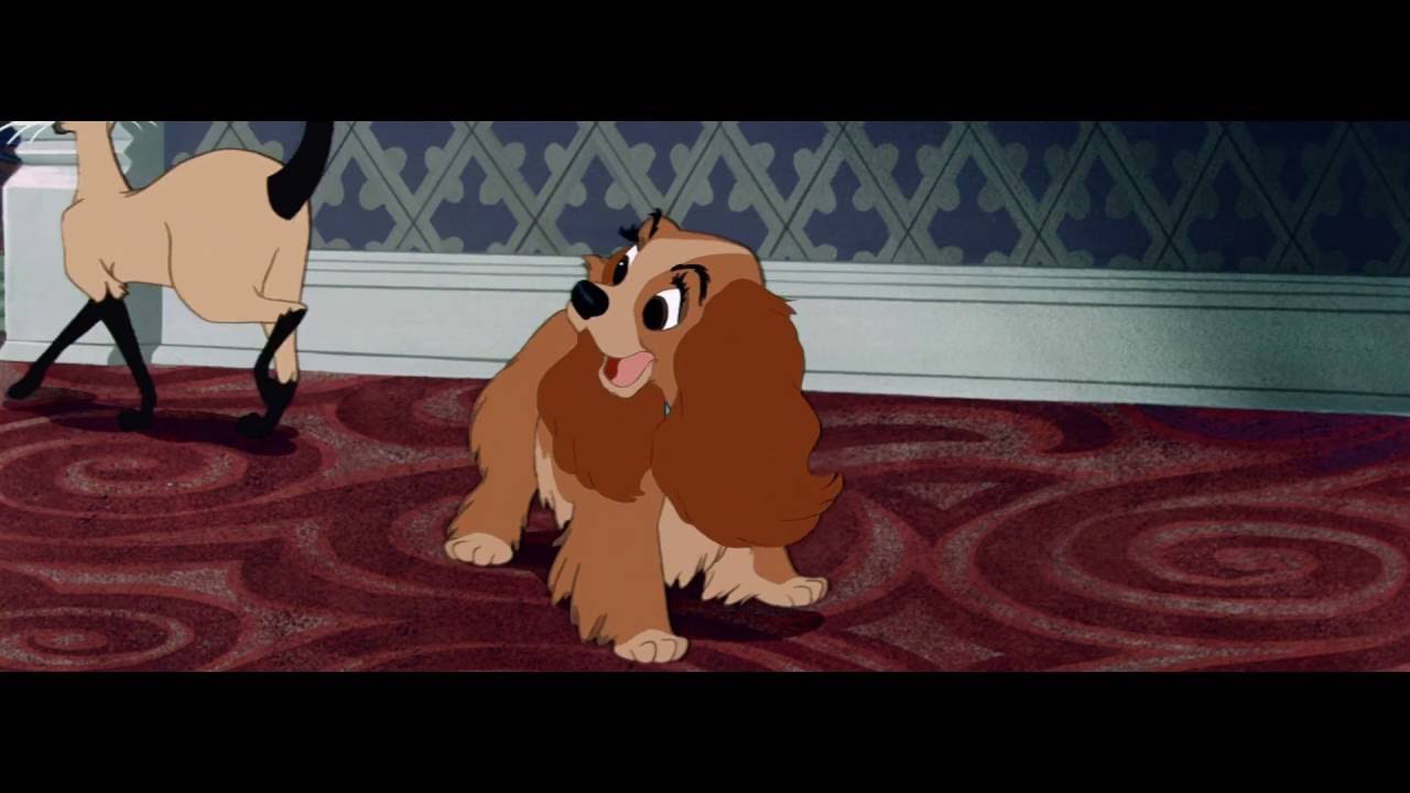 Песня сиамских кошек из мультфильма 