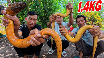 Lươn Đồng Siêu Khủng Chế Biến Món Ngon, Chiêu Đãi Bà Từ Nước Ngoài Về Chơi