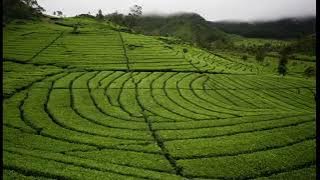 Rancabali Asri ( cipt. : D.Soer Gpras)