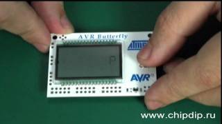 AT AVRBUTTERFLY development kit for the ATmega169