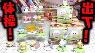 まるちい様③④⑤ Aim for the Gymnastics! Choco Supplement Chiikawa - All 16 Types